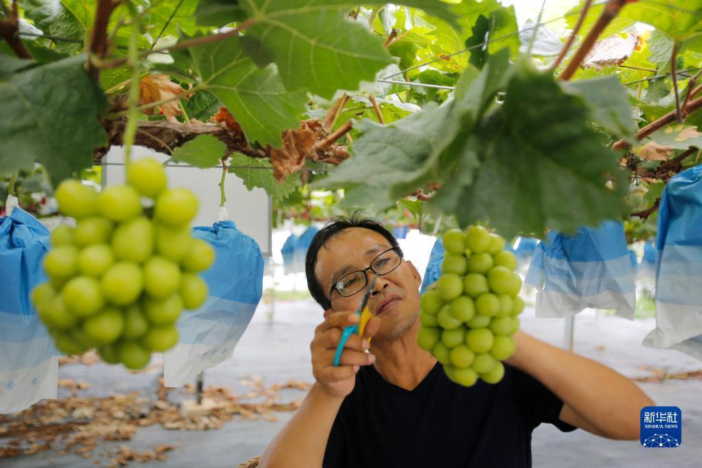 博万通娱乐平台官方网